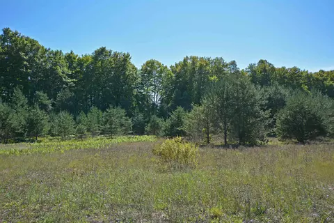 Autumn Mist Lot: H, Thompsonville, MI 49683