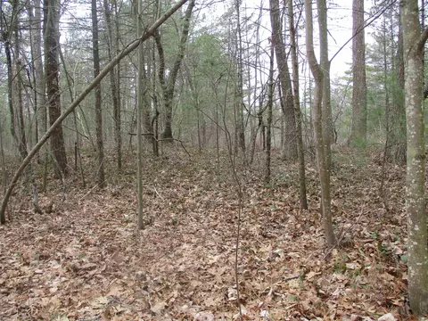 00 Ausable Pt, Oscoda, MI 48750