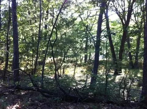 N/a Pine, Au Gres, MI 48703 photo 6