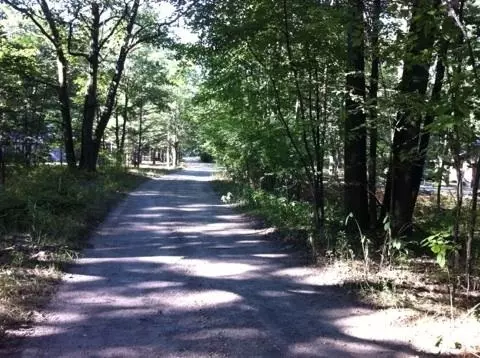 N/a Pine, Au Gres, MI 48703 photo 4