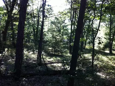 N/a Pine, Au Gres, MI 48703