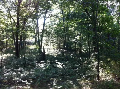 N/a Pine, Au Gres, MI 48703 photo 2