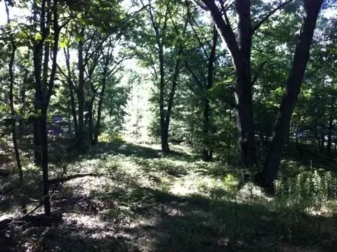 N/a Pine, Au Gres, MI 48703 photo 3