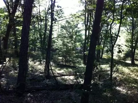 N/a Pine, Au Gres, MI 48703 photo 7