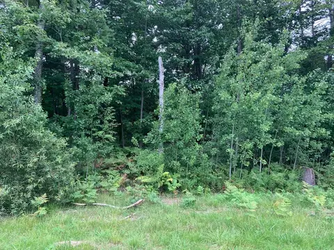 000 Us-23, East Tawas, MI 48730