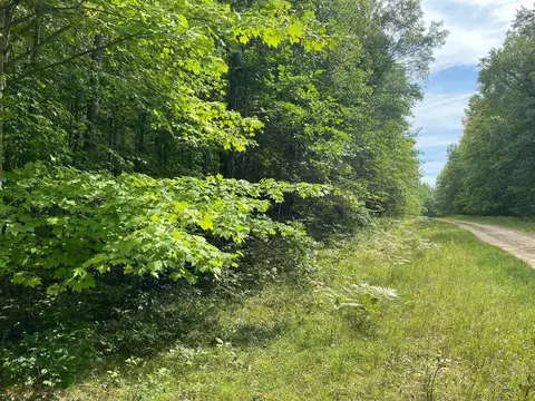 Basel Lot: Mult. LOT : MU., Reed City, MI 49677