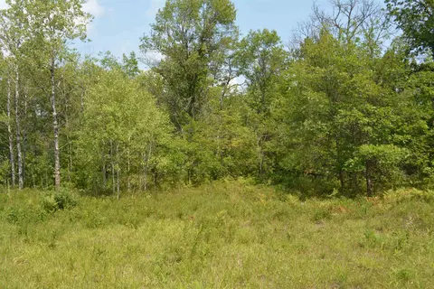 V/l Bear Lake, Johannesburg, MI 49751