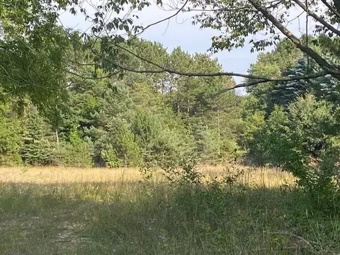 000 Palcich, Frankfort, MI 49635