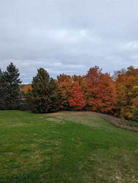 8244 N Swede, Northport, MI 49670