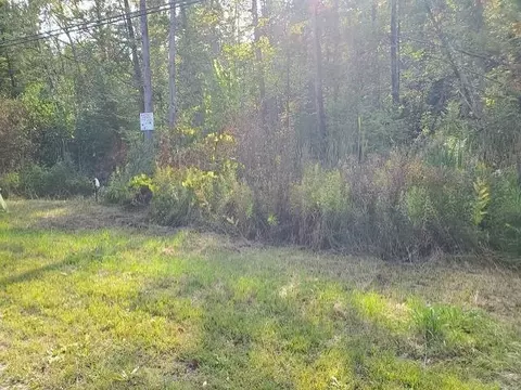 0 Elbow Lk, Prescott, MI 48756