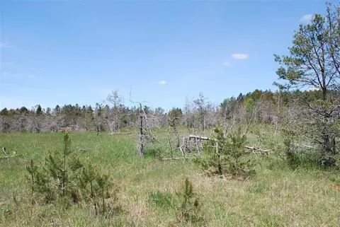 Parcel #2 & APT 5 SE Riley, Kalkaska, MI 49646