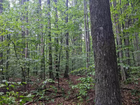 0000 Kast, Benzonia, MI 49616