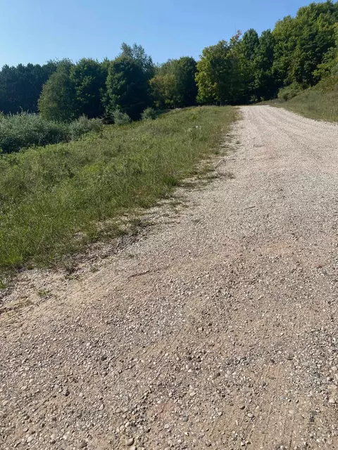 00 Chickadee, Frankfort, MI 49635