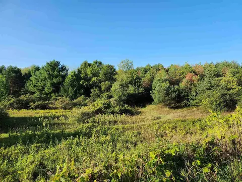 000 Western #LOT : C-1, Rapid City, MI 49676