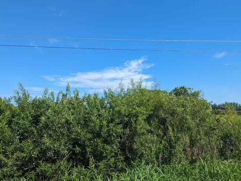 0 S S Ct #LOT : 1, Au Gres, MI 48703