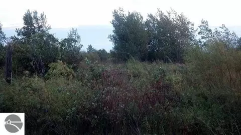 0 S S Ct #LOT : 3, Au Gres, MI 48703 photo 3