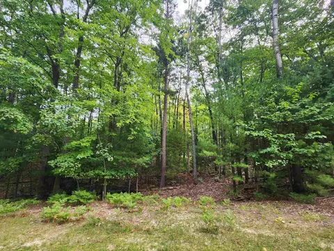 4128 Williamston, Williamsburg, MI 49690