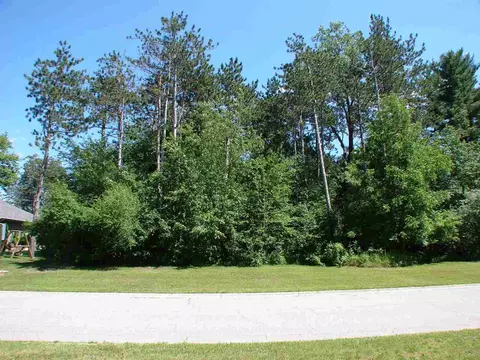 Tbd Essex, Saint Louis, MI 48880