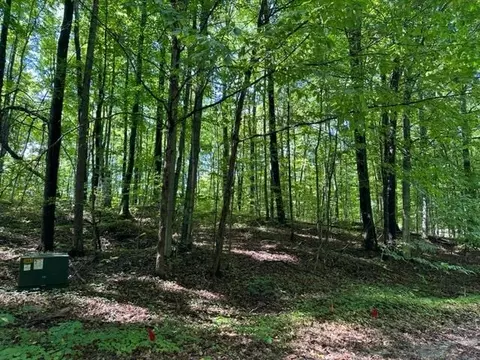 Jaeger Strasse Lot: 287, Bellaire, MI 49615