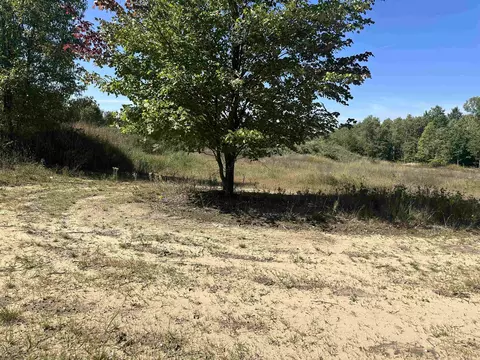 0 Viaduct, Copemish, MI 49625 photo 4