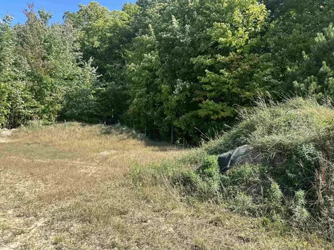 0 Viaduct, Copemish, MI 49625 photo 3