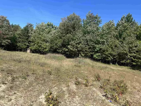 0 Viaduct, Copemish, MI 49625 photo 19