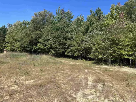 0 Viaduct, Copemish, MI 49625 photo 2