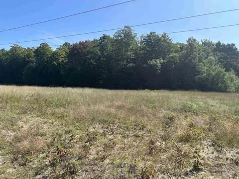 0 Viaduct, Copemish, MI 49625 photo 6