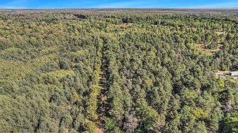 0 Viaduct, Copemish, MI 49625 photo 10