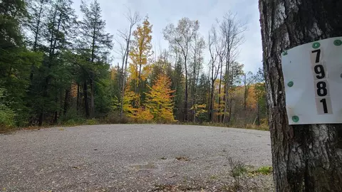 7981 Aldrich, South Branch, MI 48761