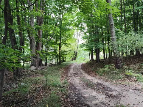 Deerfield, Lake, MI 48632 photo 14