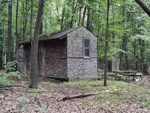 Deerfield, Lake, MI 48632 photo 6