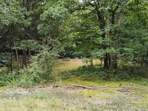 Deerfield, Lake, MI 48632 photo 9