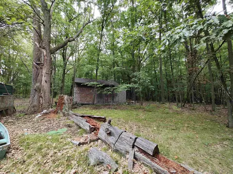 Deerfield, Lake, MI 48632 photo 5