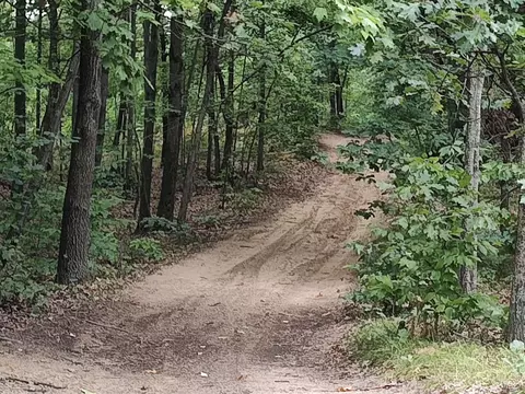 Deerfield, Lake, MI 48632 photo 12