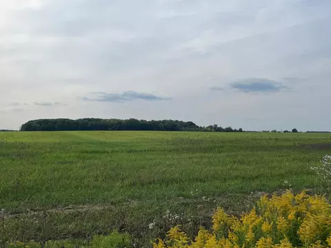 Tbd S Summerton, Shepherd, MI 48883 photo 4