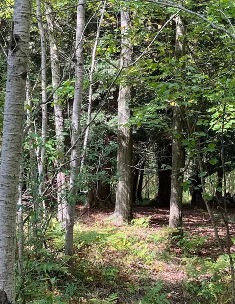 200 N Lake Sta, Harrison, MI 48625