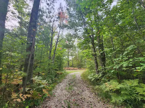 Nhn S Vaughn Lake, Glennie, MI 48737