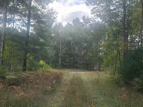 6367 SW Puffer, South Boardman, MI 49680