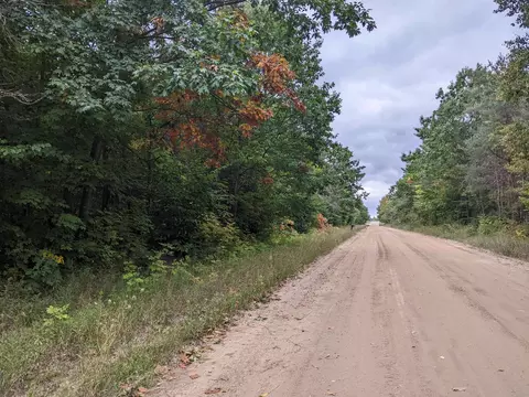 00 Dinger, Thompsonville, MI 49683