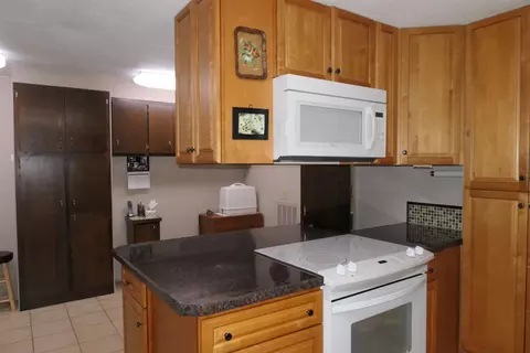 5669 Lake Montcalm, Edmore, MI 48829 photo 11