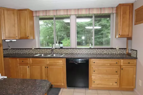 5669 Lake Montcalm, Edmore, MI 48829 photo 12