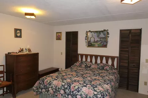 5669 Lake Montcalm, Edmore, MI 48829 photo 22