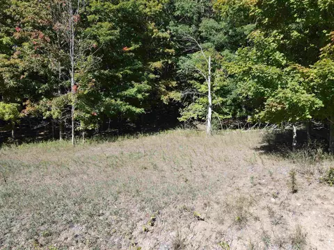 0 E Old Mtn, Cedar, MI 49621 photo 11