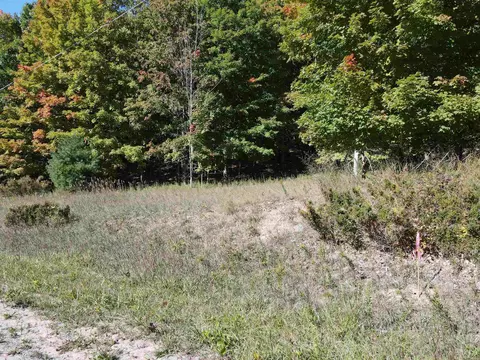 0 E Old Mtn, Cedar, MI 49621 photo 9
