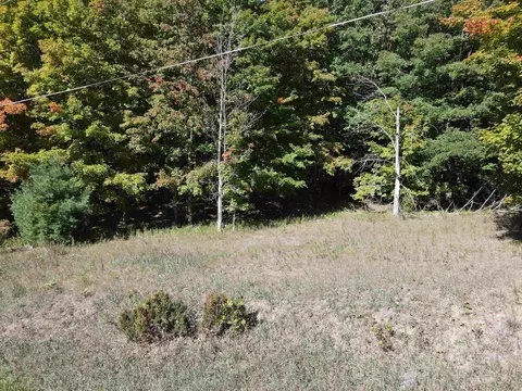 0 E Old Mtn, Cedar, MI 49621 photo 14