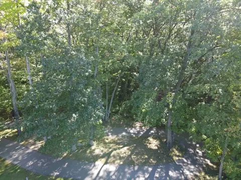 0 E Old Mtn, Cedar, MI 49621 photo 8