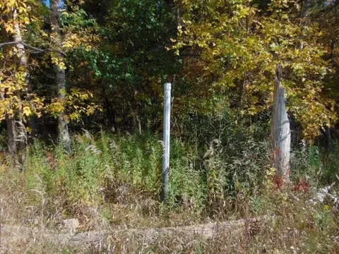 Tbd N Douglas, Vestaburg, MI 48891