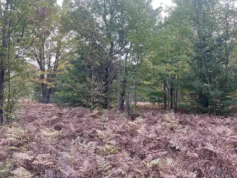 2076 SE Penny, Fife Lake, MI 49633