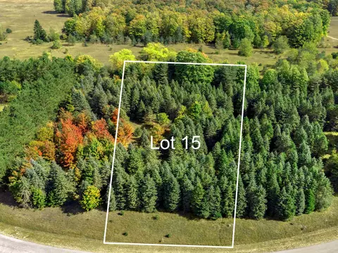 lot15 Lipp Farm, Benzonia, MI 49616